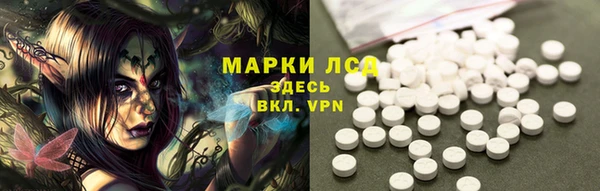 ПСИЛОЦИБИНОВЫЕ ГРИБЫ Михайлов