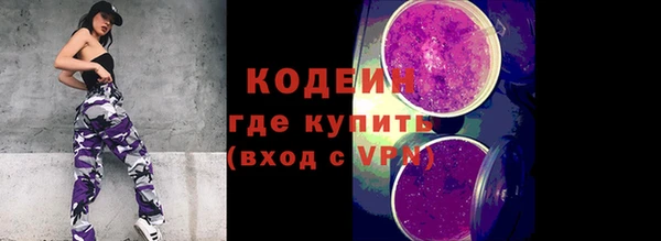 ПСИЛОЦИБИНОВЫЕ ГРИБЫ Михайлов