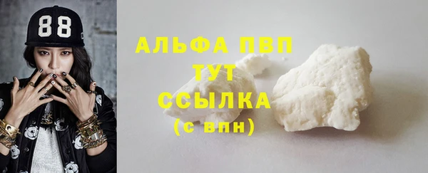 ПСИЛОЦИБИНОВЫЕ ГРИБЫ Михайлов