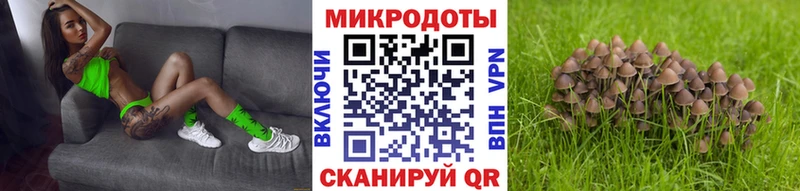 Псилоцибиновые грибы Psilocybine cubensis  hydra   Пойковский 